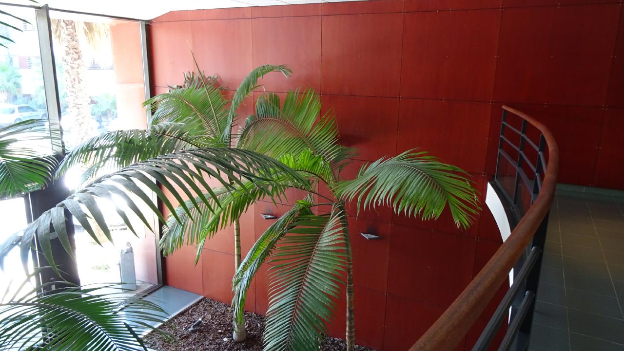 Bureau Montpellier 400m² Location bureau Montpellier Hérault OLBUR2313296 3